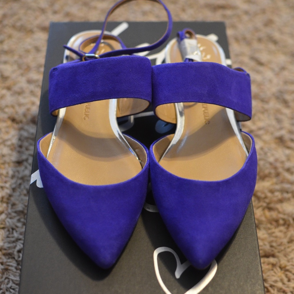 Banana Republic Abilene Ankle Wrap Leather Flats